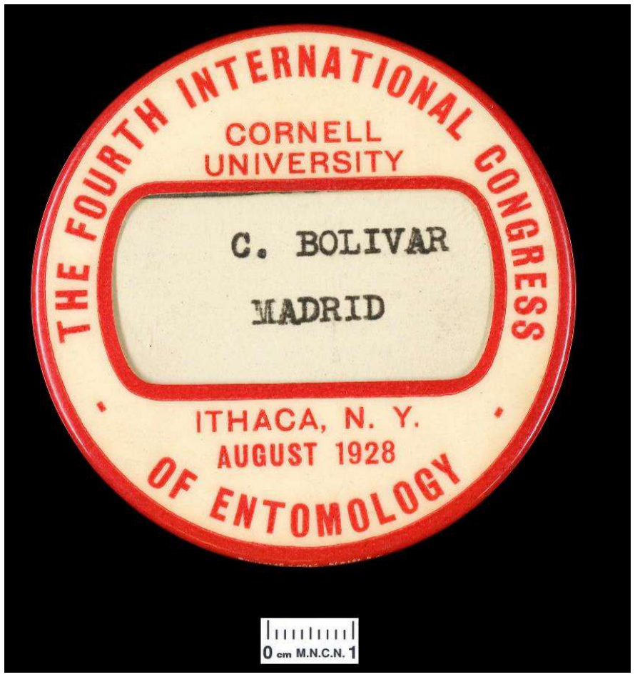 Historical ICE logos and memorabilia, page 7