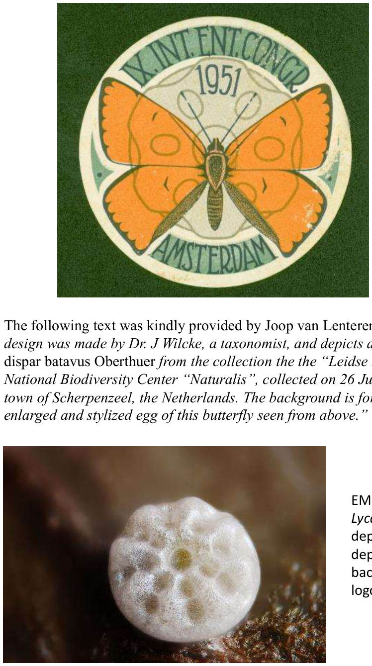 Historical ICE logos and memorabilia, page 16
