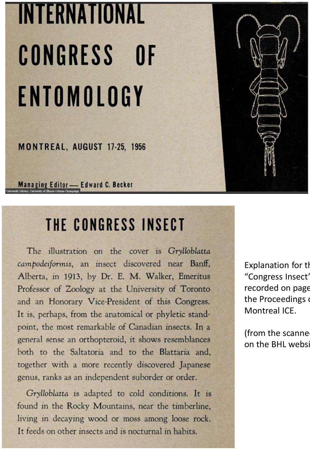 Historical ICE logos and memorabilia, page 17