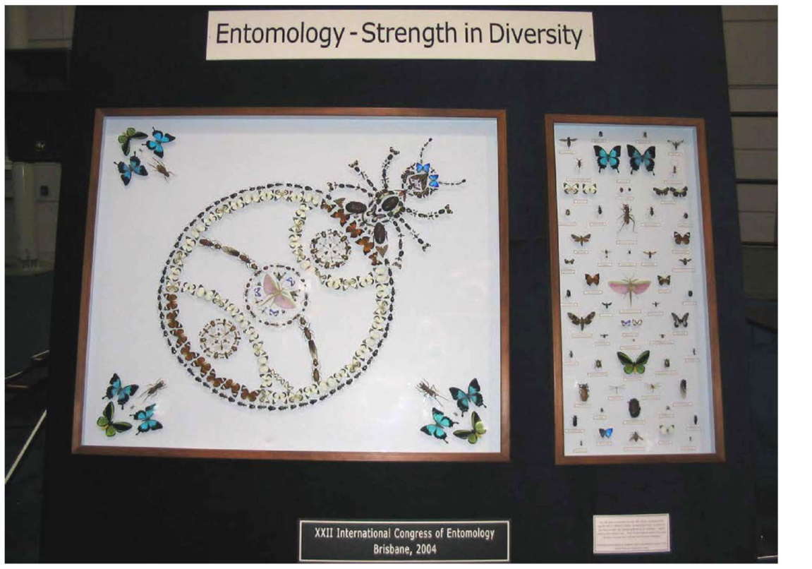 Historical ICE logos and memorabilia, page 37